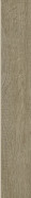 Плинтус Paradyz Tammi Naturale Cokol Mat. 9,6х59,9 см C---096X599-1-TAMM.NA