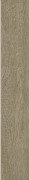 Плинтус Paradyz Tammi Naturale Cokol Mat. 9,6х59,9 см C---096X599-1-TAMM.NA