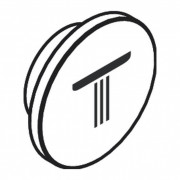 Кнопка-символ для термостата для душа Axor верхній душ хром 93308000