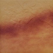 Плитка клінкер Cerrad Jesienny Lisc 30x30 см 5903263445470