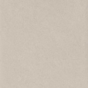 Плитка керамограніт Nowa Gala Concept Light Grey poler 59,7х59,7 см 5900423000234