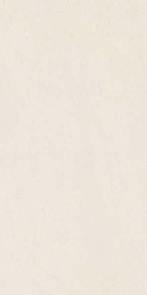 Плитка керамогранит Nowa Gala Concept Super White 59,7х29,7 см 5900423002221