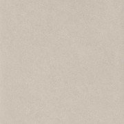 Плитка керамогранит Nowa Gala Concept Light Grey poler 59,7х59,7 см 5900423000234