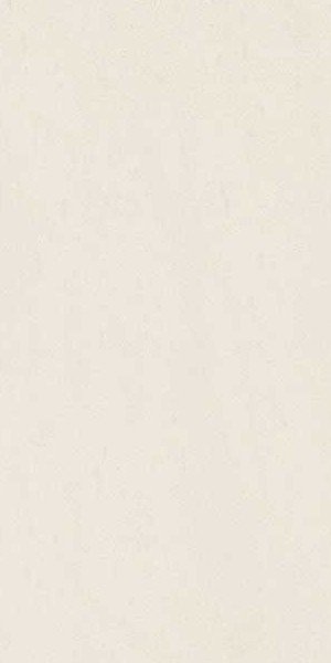 Плитка керамогранит Nowa Gala Concept Super White poler 59,7х29,7 см 5900423002160