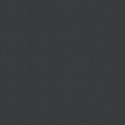 Плитка керамогранит Nowa Gala Lumina Black 59,7х59,7 см 5900423018413