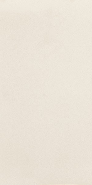 Плитка керамогранит Nowa Gala Monotec White 59,7х29,7 см 5900423032105