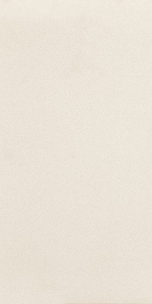 Плитка керамогранит Nowa Gala Monotec White 59,7х29,7 см 5900423032105