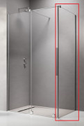 Душевая боковая стенка Radaway Furo KDJ 110×200 см прозрачное стекло 10113110-01-01