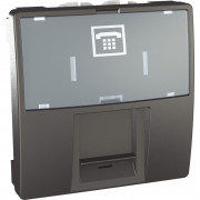 Телефонная розетка Schneider Electric Unica RJ12 6 контактов 2 модуля графит MGU3.493.12