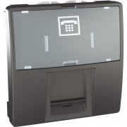 Телефонная розетка Schneider Electric Unica RJ12 6 контактов 2 модуля графит MGU3.493.12