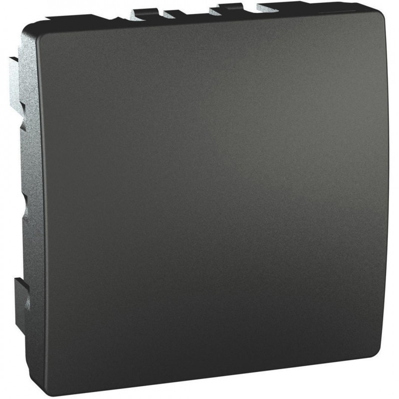 Заглушка Schneider Electric Unica 2 модуля пластик графіт MGU9.866.12