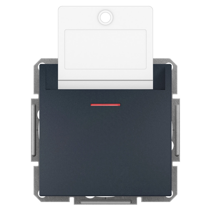 Выключатель карточный Schneider Electric Asfora механический антрацит EPH6200171