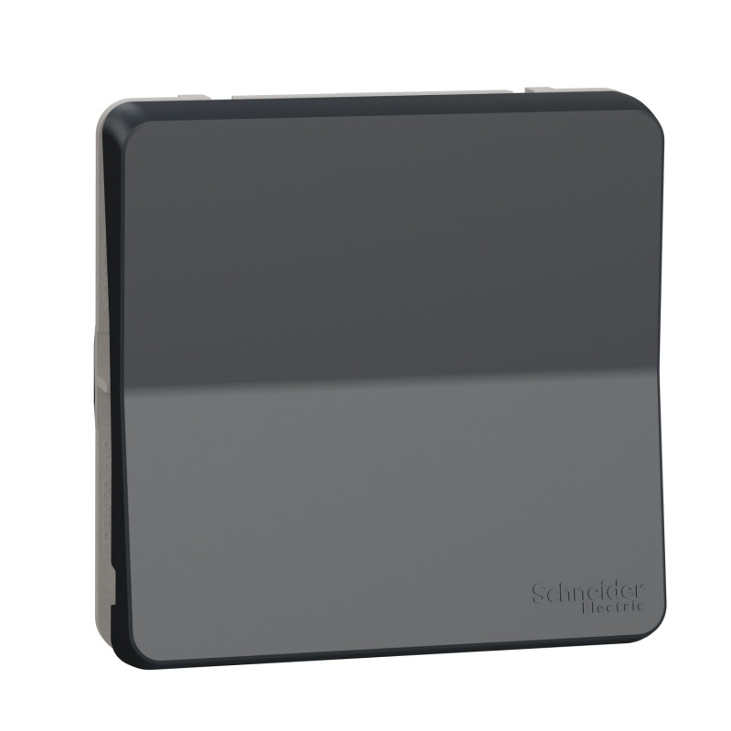 Механізм кнопкового вимикача Schneider Electric Mureva Styl IP55 антрацит MUR35027