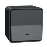 Вимикач кнопковий Schneider Electric Mureva Styl з підсвічуванням IP55 антрацит MUR35028