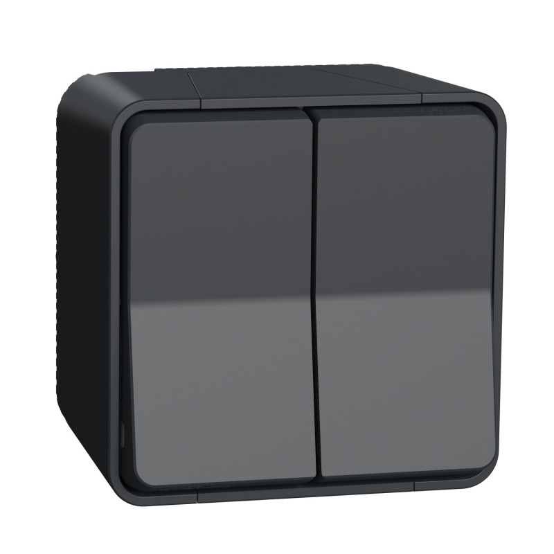 Выключатель Schneider Electric Mureva Styl 2-клавишный схема 6+6 IP55 антрацит MUR35022