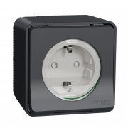 Механизм розетки Schneider Electric Mureva Styl с заземлением и шторками IP55 антрацит MUR36034