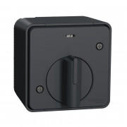 Вимикач із таймером Schneider Electric Mureva Styl IP55 антрацит MUR35067