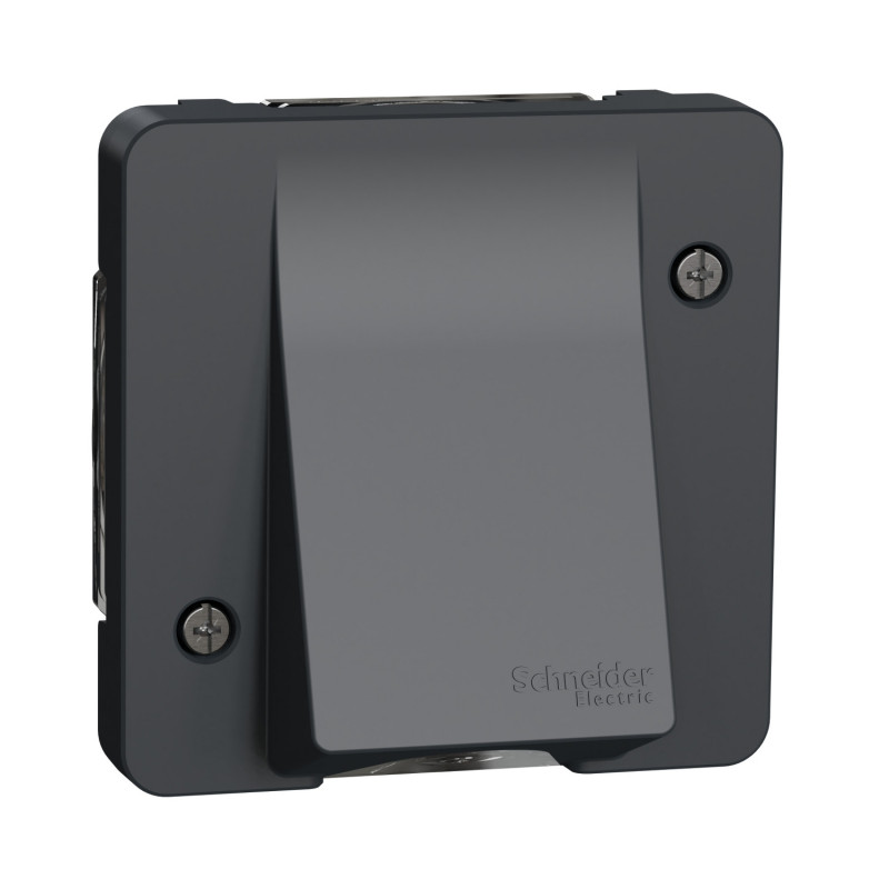 Механізм виведення кабелю Schneider Electric Mureva Styl IP55 антрацит MUR37931