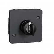 Механизм выключателя Schneider Electric Mureva Styl с ключом на 3 положения IP55 антрацит MUR35061
