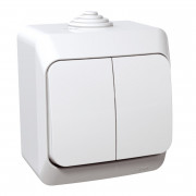 Выключатель Schneider Electric Cedar Plus 2-клавишный белый WDE000550