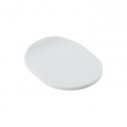 Сиденье с крышкой для унитаза ArtCeram Chic SoftClose дюропласт белый петли золото CHA001 01;73