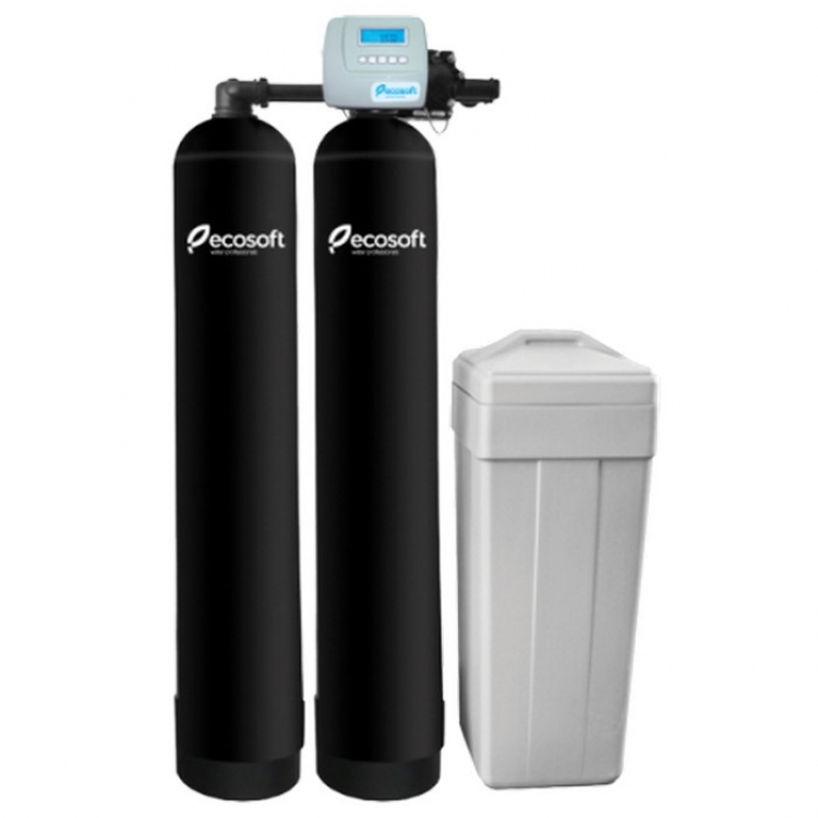 Фільтр пом'якшення води Ecosoft Twin 2,9-3,6 м3/год FU1252TWIN