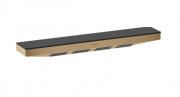 Боковой душ Hansgrohe Rainfinity 500 1 режим с полкой шлифованная бронза 26243140