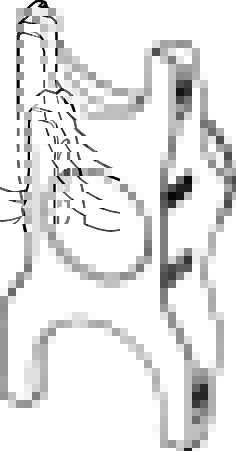 Насадка для запресування для інструментів TECE TECEflex RazFaz 25–32 мм передня 720207