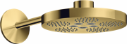 Верхний душ Hansgrohe Axor One Ø280 мм 2 режима с держателем полированное золото 48492990