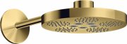 Верхний душ Hansgrohe Axor One Ø280 мм 2 режима с держателем полированное золото 48492990