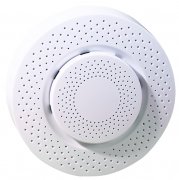 Датчик уровня угарного газа CO Tervix Pro Line Zigbee CO 486121