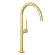 Смеситель для кухни Kludi Reef однорычажный брашированное золото 50803N075