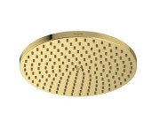 Лейка для верхнего душа Hansgrohe Raindance S 240 1 режим золото 27623990