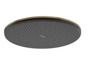 Лейка для верхнего душа Hansgrohe Raindance Alive S 300 1 режим бронза 24520140