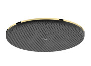 Лейка для верхнего душа Hansgrohe Raindance Alive S 300 1 режим золото 24520990