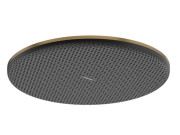 Лейка для верхнего душа Hansgrohe Raindance Alive S 300 1 режим EcoSmart бронза 24521140