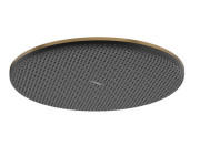 Лейка для верхнего душа Hansgrohe Raindance Alive S 300 1 режим бронза 24520140