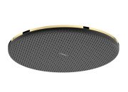 Лейка для верхнего душа Hansgrohe Raindance Alive S 300 1 режим золото 24520990