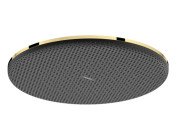 Лейка для верхнего душа Hansgrohe Raindance Alive S 300 1 режим EcoSmart золото 24521990