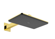 Верхний душ Hansgrohe Raindance Alive Q 34х21 см 2 режима EcoSmart с держателем золото 24551990