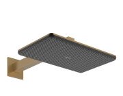 Верхний душ Hansgrohe Raindance Alive Q 34х21 см 2 режима с держателем бронза 24550140