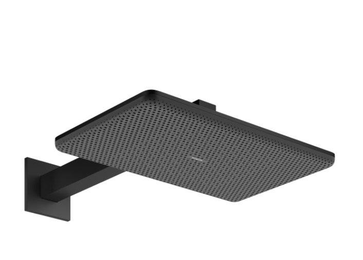 Верхний душ Hansgrohe Raindance Alive Q 34х21 см 2 режима с держателем черный матовый 24550670