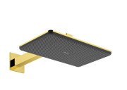 Верхний душ Hansgrohe Raindance Alive Q 34х21 см 2 режима EcoSmart с держателем золото 24551990