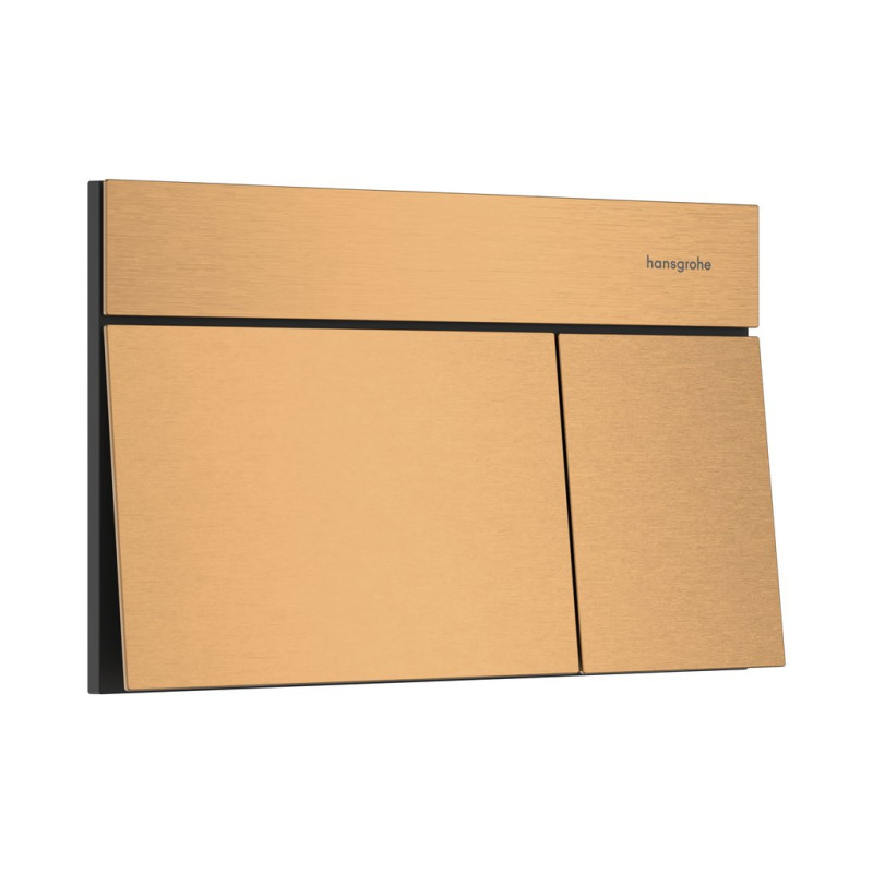 Кнопка смыва для унитаза Hansgrohe iFrame Element E двойной смыв металл бронза шлифованная 66003140