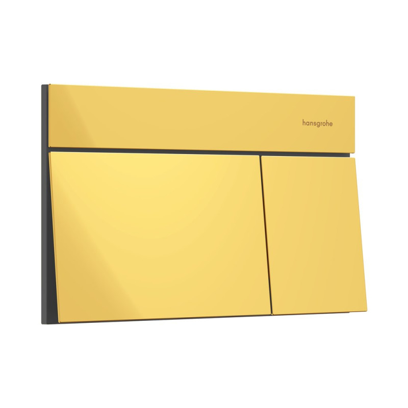 Кнопка змиву для унітазу Hansgrohe iFrame Element E подвійний змив метал золото 66003990