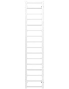 Полотенцесушитель водяной Deffi Forest П16 200х1600 боковое правое подключение белый A.FR.160.20.16.W.C