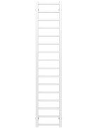 Полотенцесушитель водяной Deffi Forest П16 200х1600 боковое левое подключение белый A.FR.160.20.16.W.B