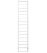 Полотенцесушитель водяной Deffi Forest П16 300х1600 боковое правое подключение белый A.FR.160.30.16.W.C