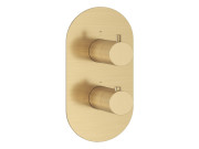 Термостат для душа Ravak Espirit встраиваемый золото матовое X070610