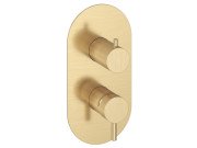 Смеситель для душа Ravak Espirit встраиваемый золото матовое X070607